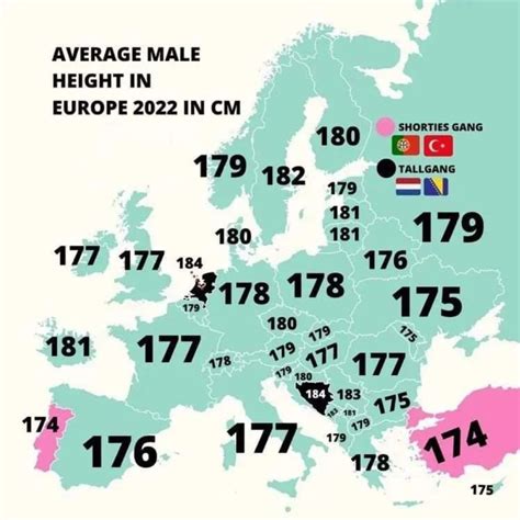 gemiddelde lengte man portugal|Average human height by country